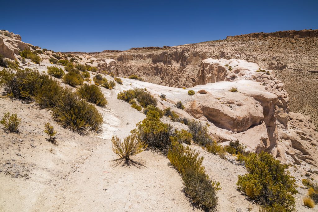 Canyon in the desert in Altiplano, Bolivia. South America