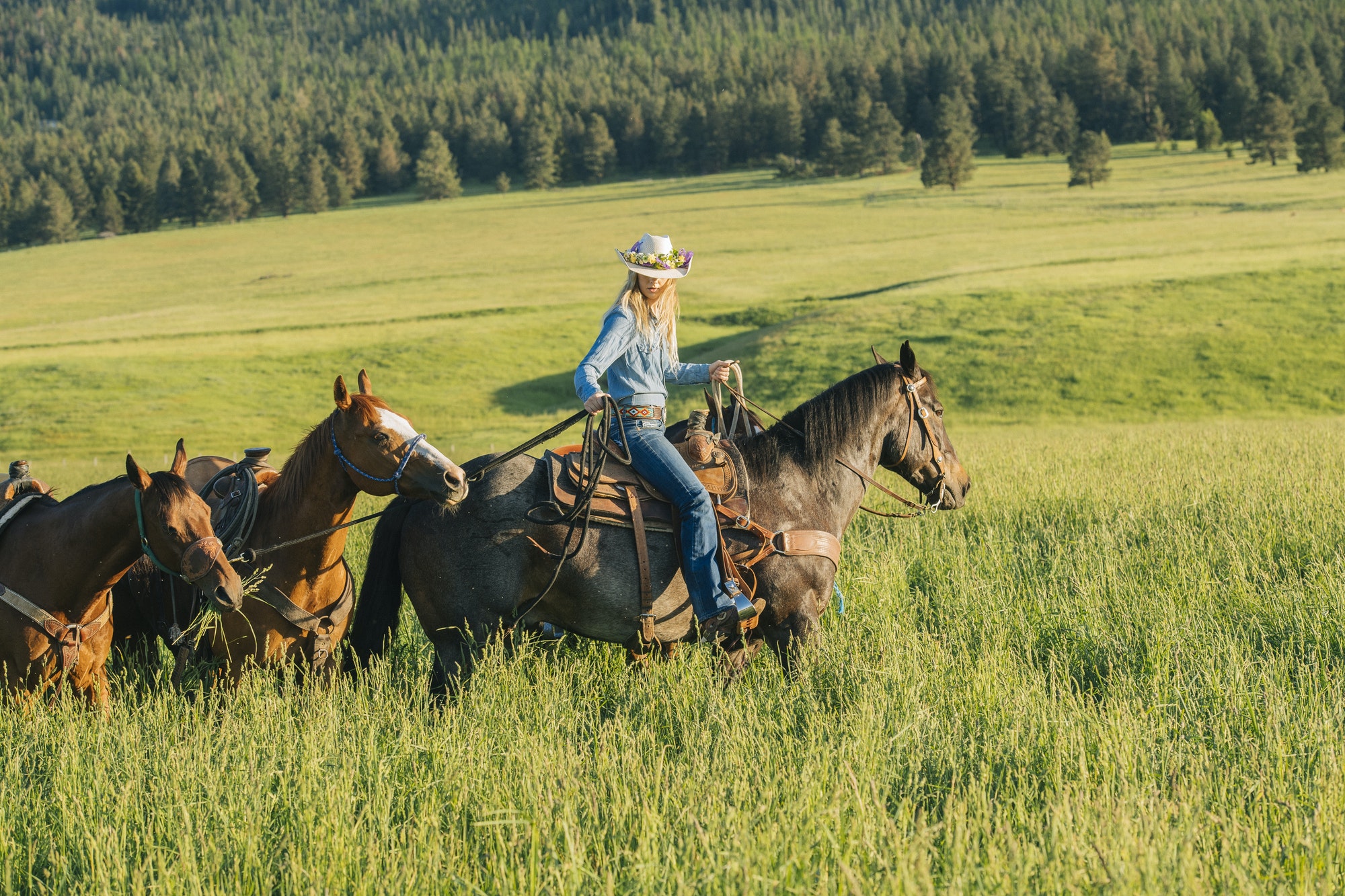 Teenage girl leading four horses, Enterprise, Oregon, United States, North America