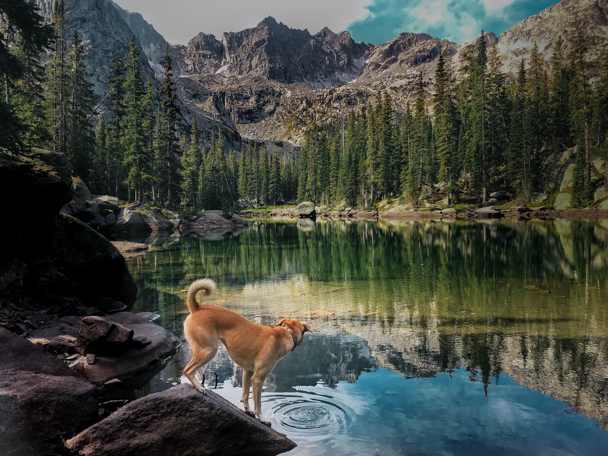 Rocky Mountain climber