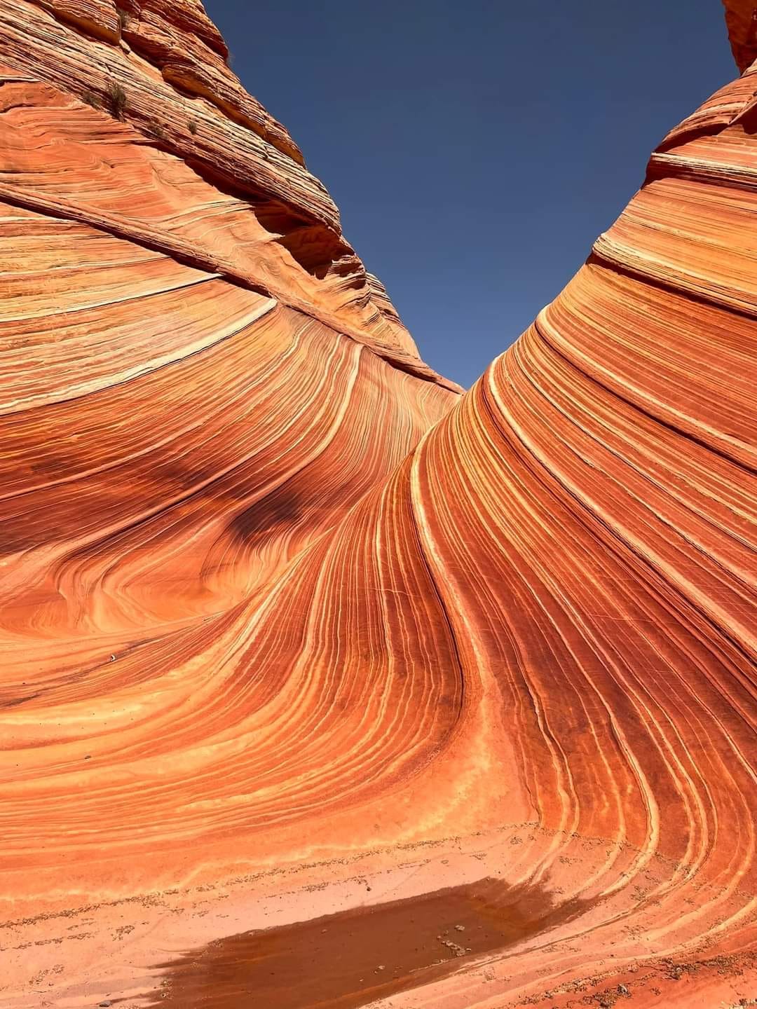 The Wave Arizona The Wave Arizona